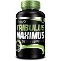 Tribulus Maximus 90 кап.